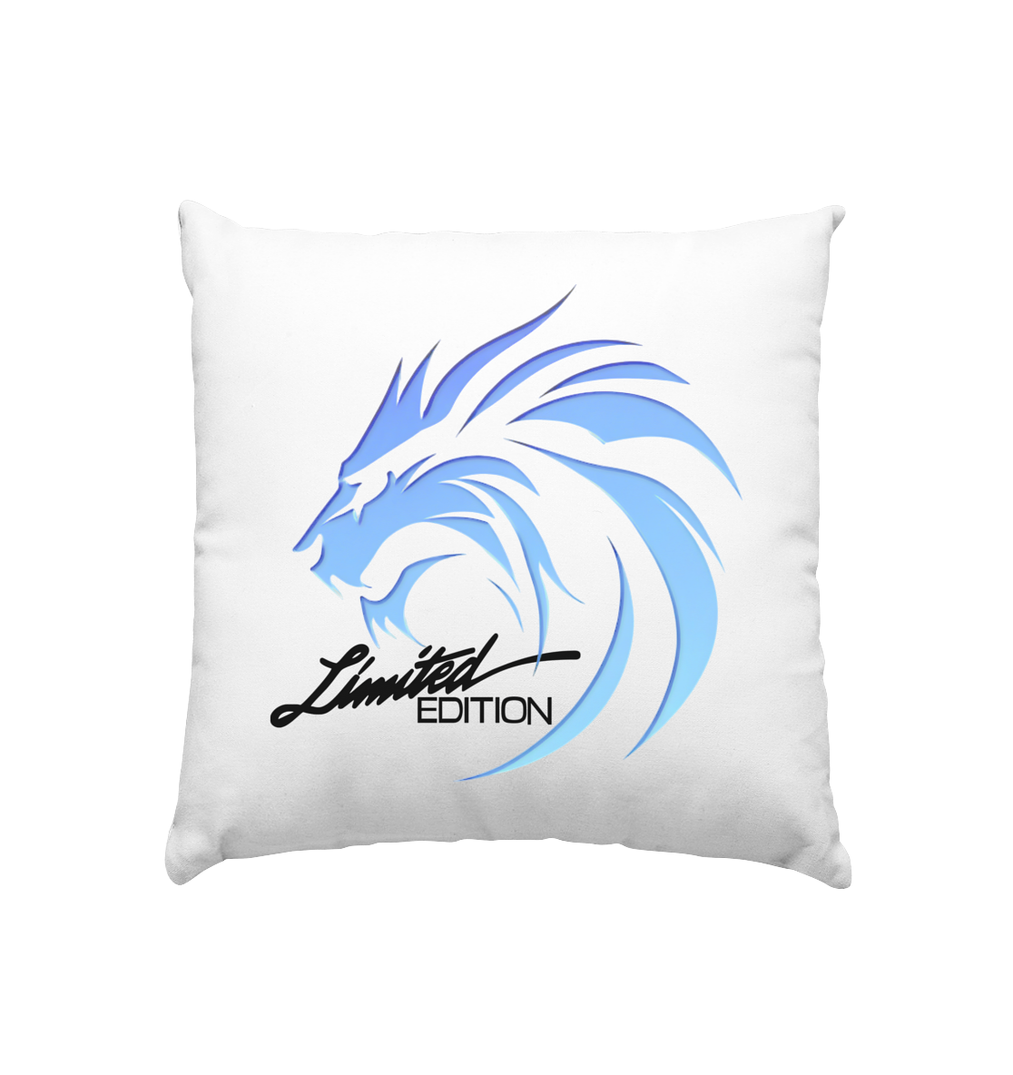 Limited Edition Evolution Street Style - Kissen 40x40cm